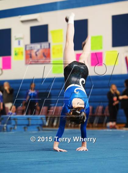 Thumbnail 2 in NYSPHSAA Championships 2015 photogallery.
