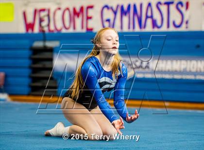 Thumbnail 2 in NYSPHSAA Championships 2015 photogallery.