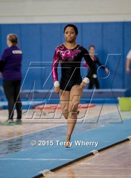 Thumbnail 3 in NYSPHSAA Championships 2015 photogallery.