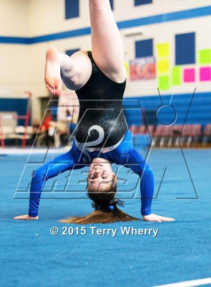 Thumbnail 3 in NYSPHSAA Championships 2015 photogallery.