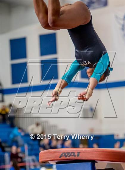 Thumbnail 3 in NYSPHSAA Championships 2015 photogallery.
