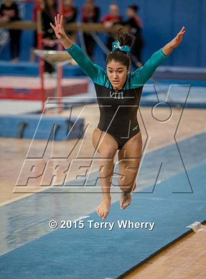 Thumbnail 3 in NYSPHSAA Championships 2015 photogallery.