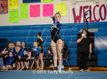 Thumbnail 2 in NYSPHSAA Championships 2015 photogallery.