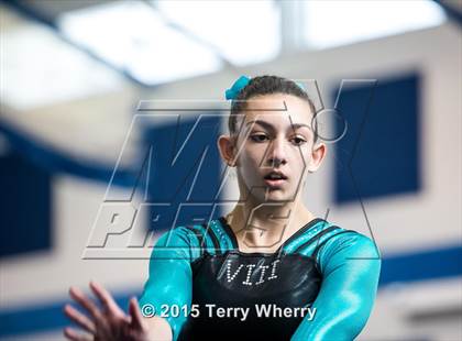 Thumbnail 2 in NYSPHSAA Championships 2015 photogallery.