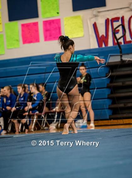 Thumbnail 3 in NYSPHSAA Championships 2015 photogallery.