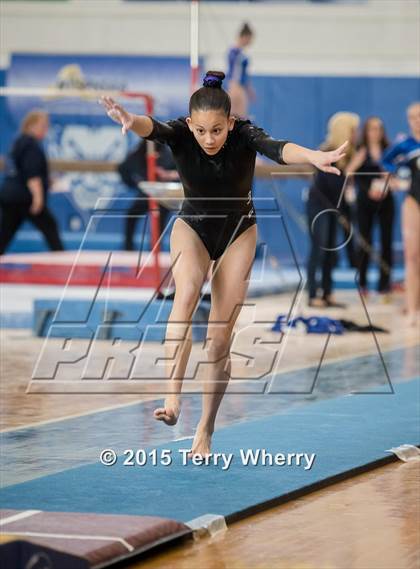 Thumbnail 2 in NYSPHSAA Championships 2015 photogallery.