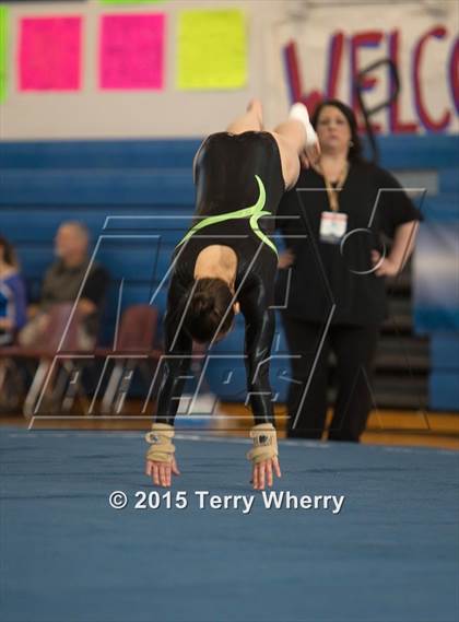 Thumbnail 1 in NYSPHSAA Championships 2015 photogallery.