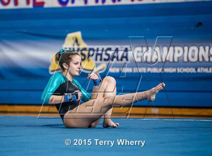 Thumbnail 2 in NYSPHSAA Championships 2015 photogallery.