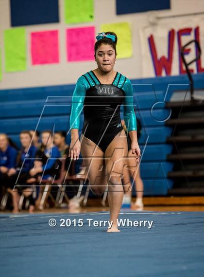 Thumbnail 2 in NYSPHSAA Championships 2015 photogallery.