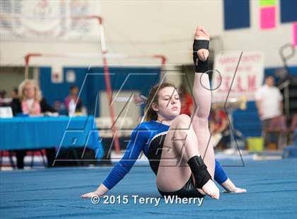Thumbnail 3 in NYSPHSAA Championships 2015 photogallery.