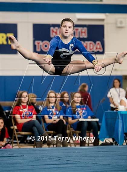 Thumbnail 2 in NYSPHSAA Championships 2015 photogallery.