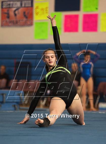Thumbnail 1 in NYSPHSAA Championships 2015 photogallery.