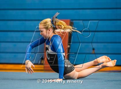 Thumbnail 3 in NYSPHSAA Championships 2015 photogallery.