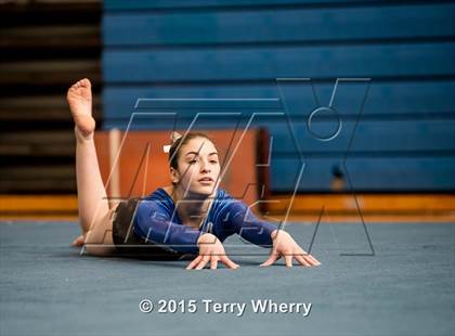 Thumbnail 1 in NYSPHSAA Championships 2015 photogallery.