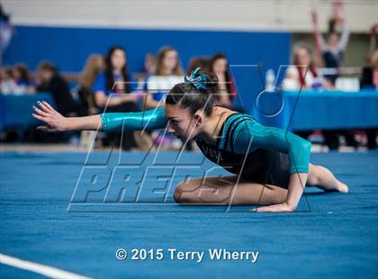 Thumbnail 3 in NYSPHSAA Championships 2015 photogallery.