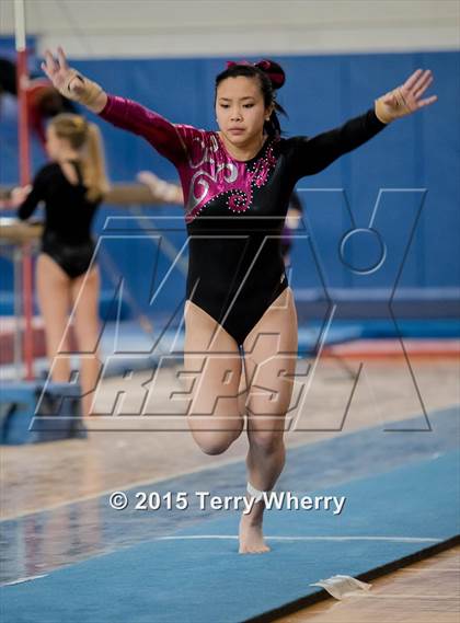 Thumbnail 2 in NYSPHSAA Championships 2015 photogallery.