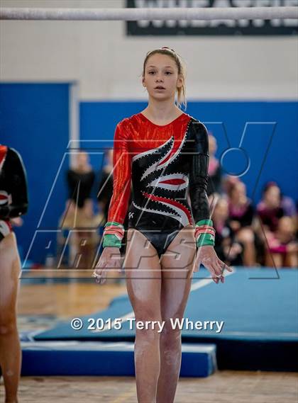 Thumbnail 1 in NYSPHSAA Championships 2015 photogallery.