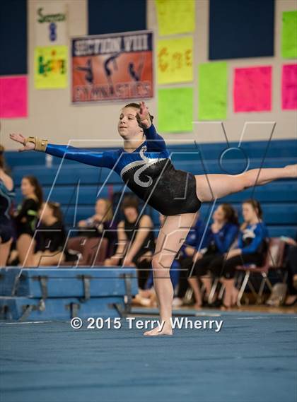 Thumbnail 2 in NYSPHSAA Championships 2015 photogallery.