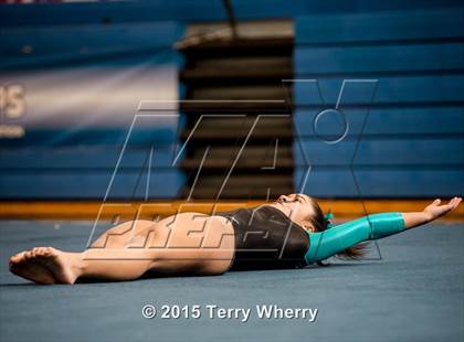 Thumbnail 3 in NYSPHSAA Championships 2015 photogallery.