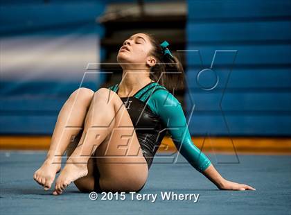 Thumbnail 2 in NYSPHSAA Championships 2015 photogallery.