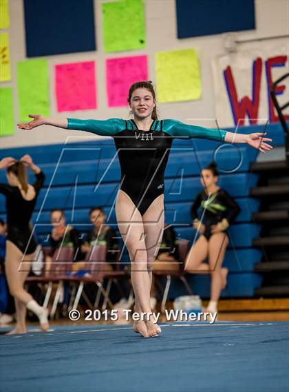 Thumbnail 2 in NYSPHSAA Championships 2015 photogallery.