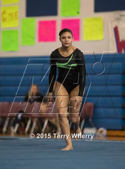 Thumbnail 1 in NYSPHSAA Championships 2015 photogallery.