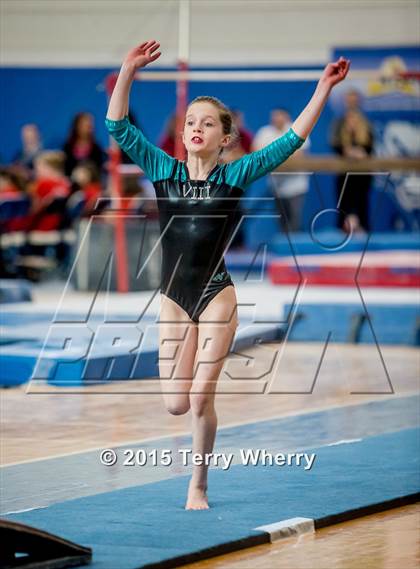 Thumbnail 1 in NYSPHSAA Championships 2015 photogallery.