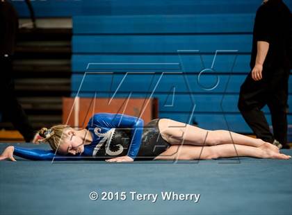Thumbnail 1 in NYSPHSAA Championships 2015 photogallery.