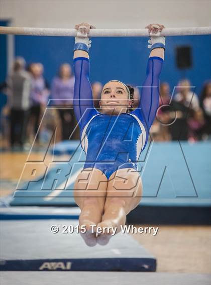 Thumbnail 3 in NYSPHSAA Championships 2015 photogallery.