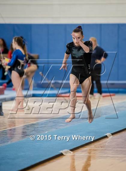 Thumbnail 3 in NYSPHSAA Championships 2015 photogallery.