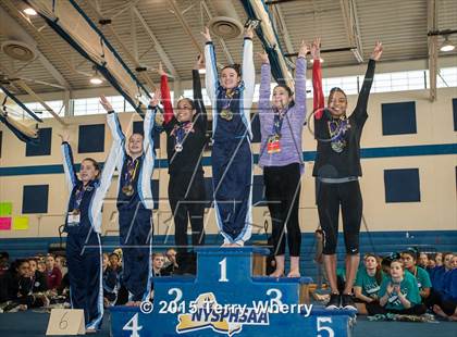 Thumbnail 1 in NYSPHSAA Championships 2015 photogallery.