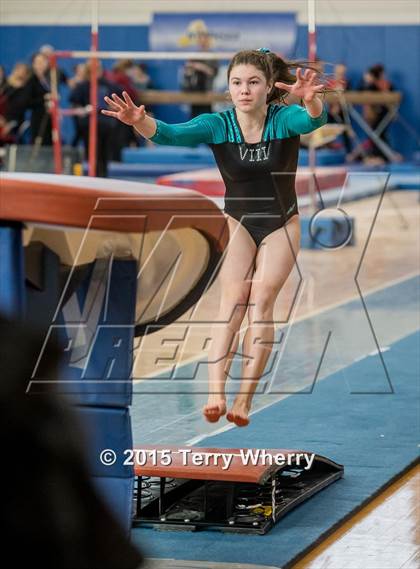 Thumbnail 1 in NYSPHSAA Championships 2015 photogallery.