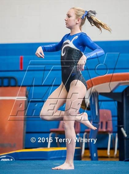 Thumbnail 1 in NYSPHSAA Championships 2015 photogallery.