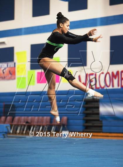 Thumbnail 2 in NYSPHSAA Championships 2015 photogallery.