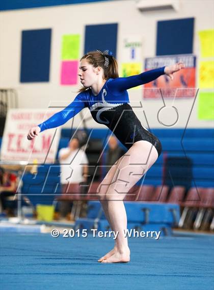 Thumbnail 1 in NYSPHSAA Championships 2015 photogallery.
