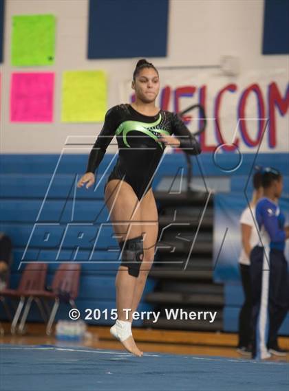 Thumbnail 1 in NYSPHSAA Championships 2015 photogallery.
