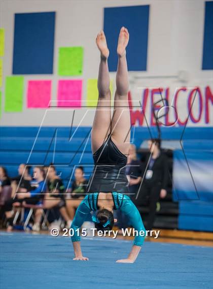 Thumbnail 3 in NYSPHSAA Championships 2015 photogallery.