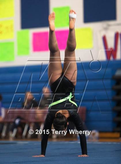Thumbnail 1 in NYSPHSAA Championships 2015 photogallery.