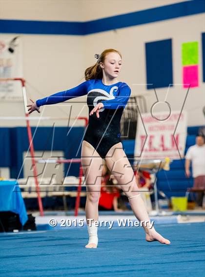 Thumbnail 2 in NYSPHSAA Championships 2015 photogallery.