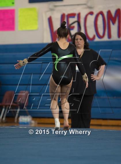 Thumbnail 1 in NYSPHSAA Championships 2015 photogallery.