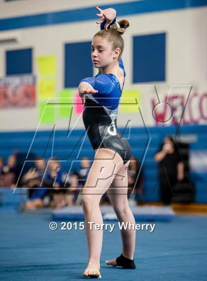 Thumbnail 3 in NYSPHSAA Championships 2015 photogallery.