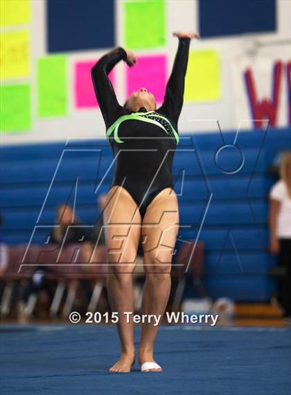 Thumbnail 3 in NYSPHSAA Championships 2015 photogallery.