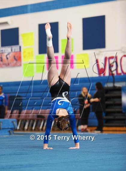 Thumbnail 3 in NYSPHSAA Championships 2015 photogallery.