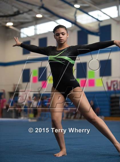 Thumbnail 2 in NYSPHSAA Championships 2015 photogallery.