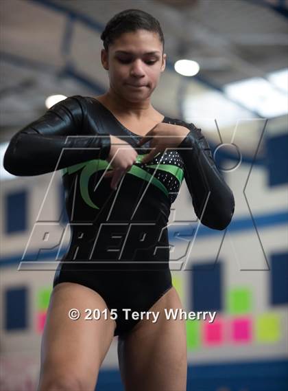 Thumbnail 1 in NYSPHSAA Championships 2015 photogallery.
