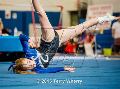 Thumbnail 1 in NYSPHSAA Championships 2015 photogallery.