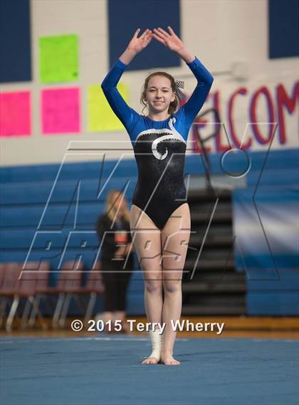 Thumbnail 1 in NYSPHSAA Championships 2015 photogallery.