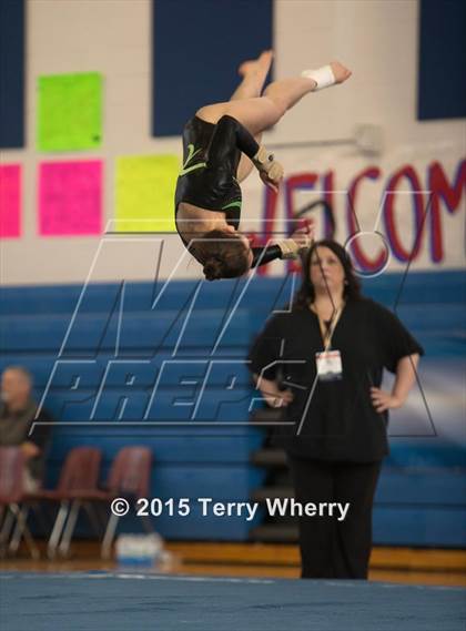 Thumbnail 3 in NYSPHSAA Championships 2015 photogallery.
