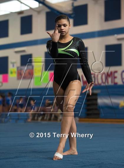 Thumbnail 3 in NYSPHSAA Championships 2015 photogallery.