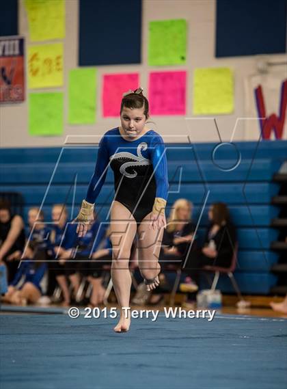 Thumbnail 1 in NYSPHSAA Championships 2015 photogallery.